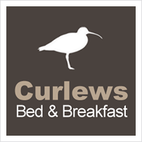 curlews-logo